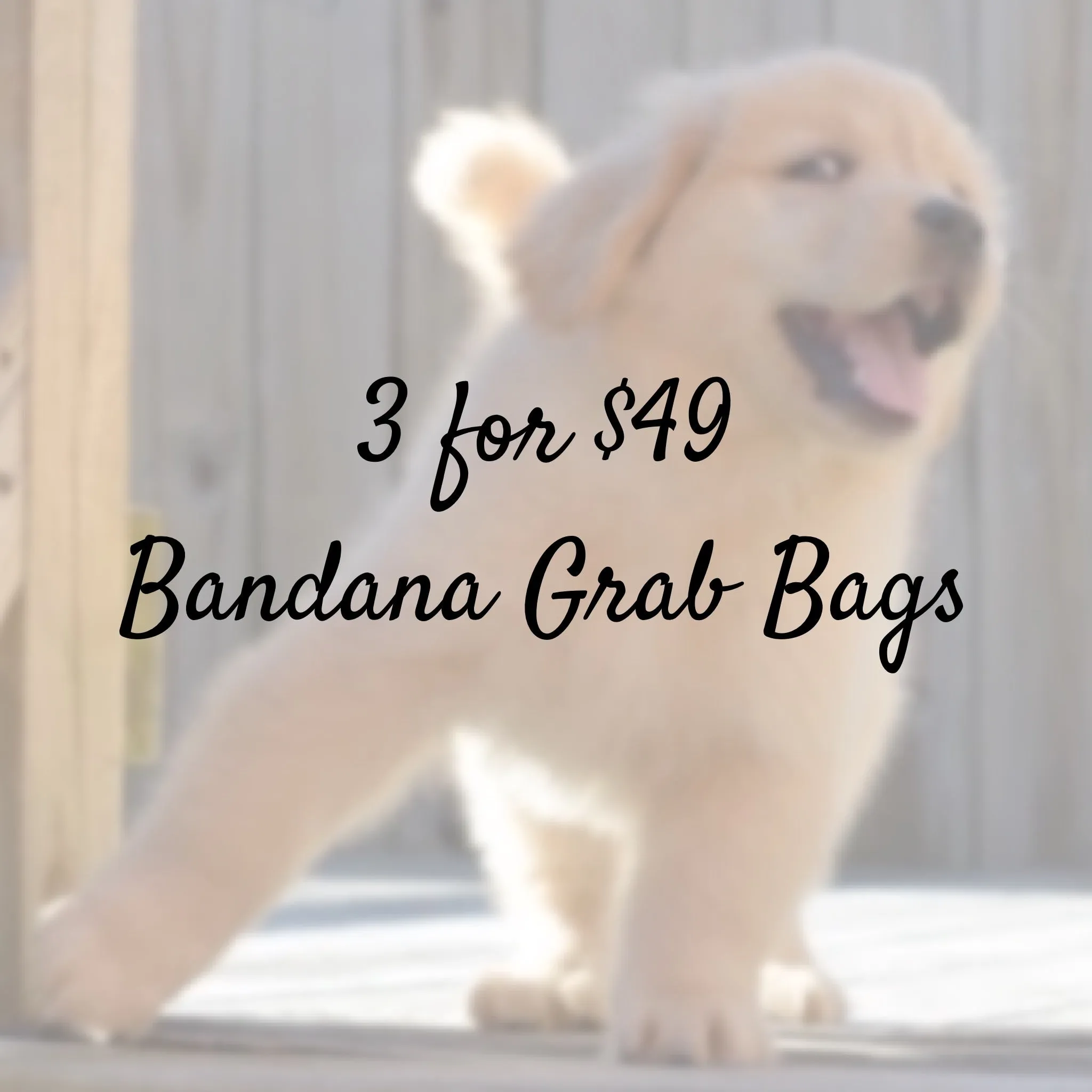 3 for $49 Personalized Bandana Grab Bag - Limited Quantity